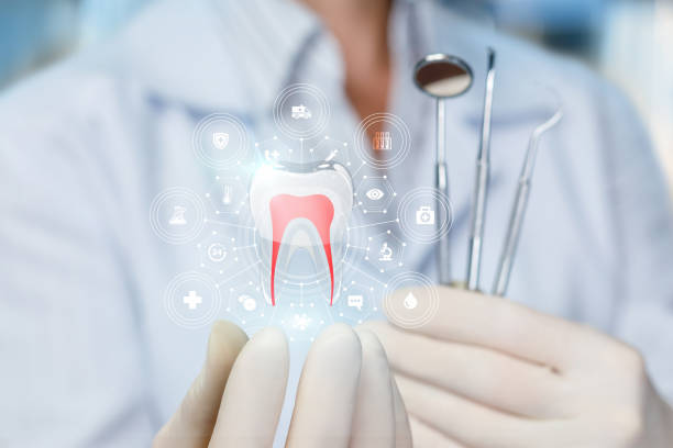 Professional Dental Services in Tarrytown, NY